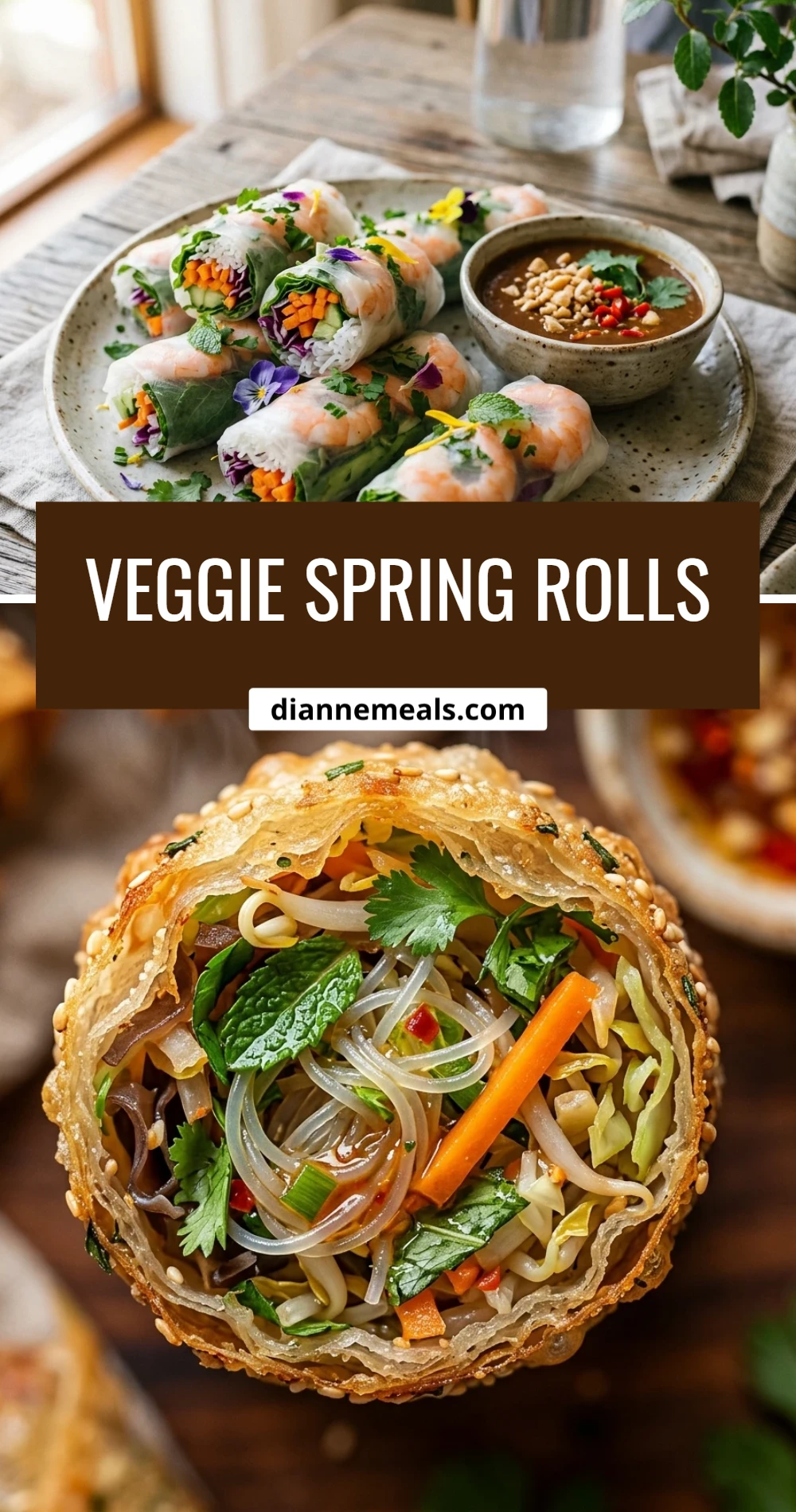 Veggie Spring Rolls